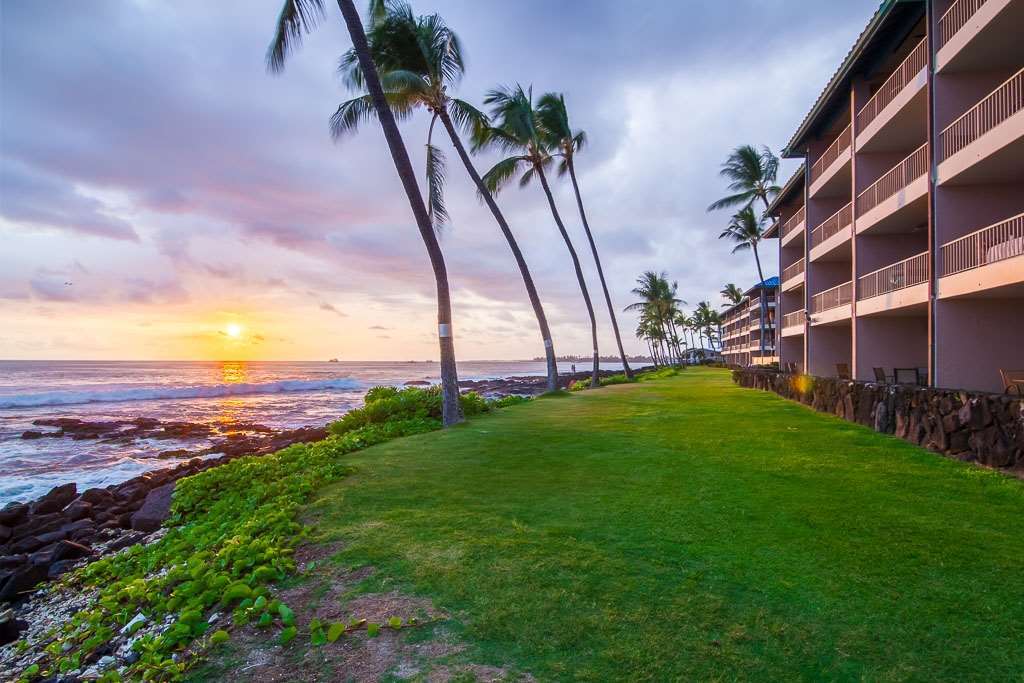 Kona Reef Hotel Kailua-Kona Natur billede