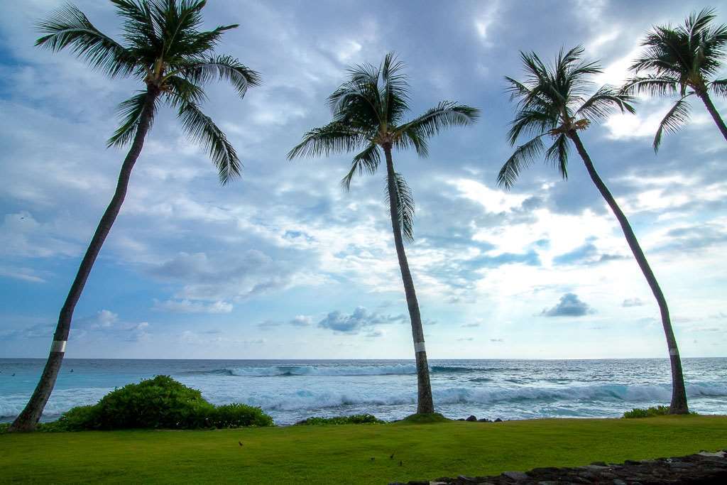 Kona Reef Hotel Kailua-Kona Værelse billede